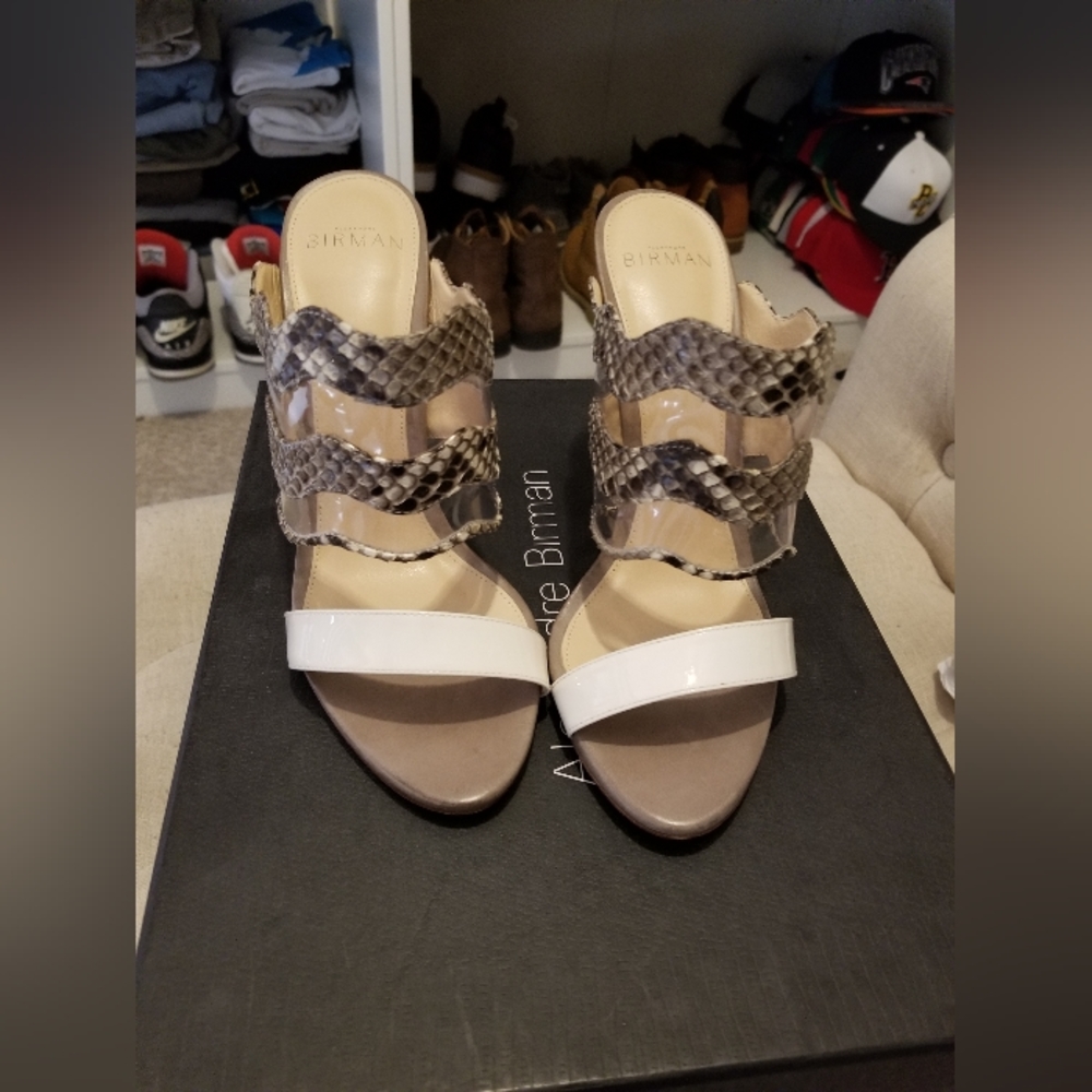 Alexandre Birman Python Mule Slide - image 7